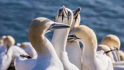 博尔塔拉最新的高价医保个人账户余额微信查询方法分享(博尔塔拉医保查询个人账户明细怎么查微信教程)