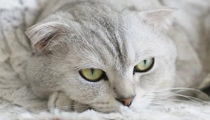 博尔塔拉最新的高价医保个人账户余额微信查询方法分享(博尔塔拉医保查询个人账户明细怎么查微信教程)